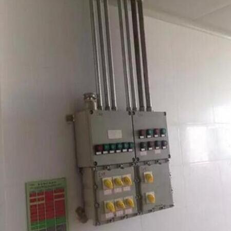 水產(chǎn)飼料生產(chǎn)線防爆配電箱項目