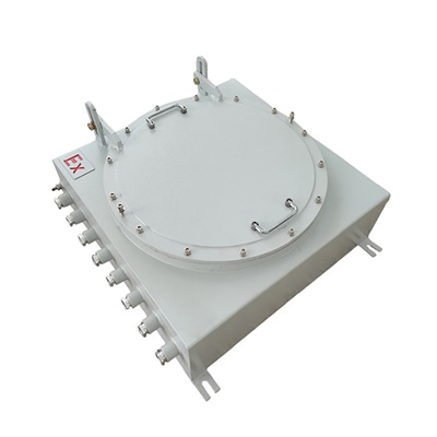 碳鋼IIC級(jí)防爆接線(xiàn)箱 碳鋼IIC級(jí)防爆接線(xiàn)箱